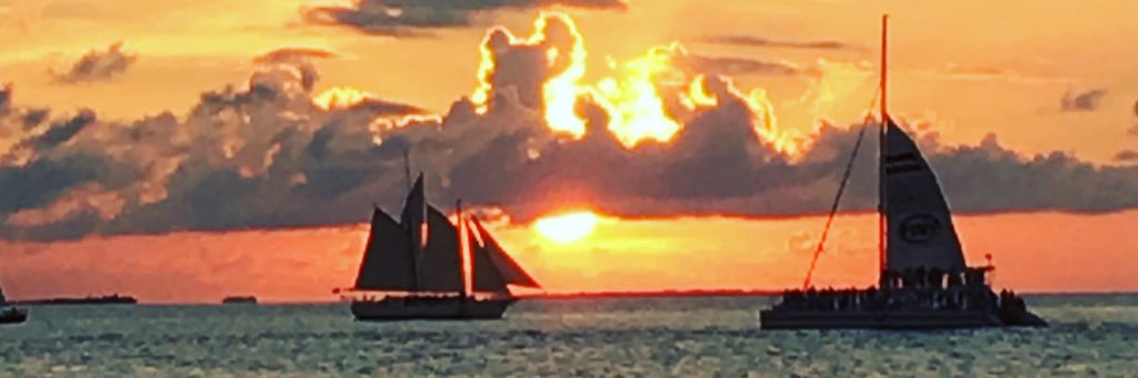 Natalie Fonseca banner