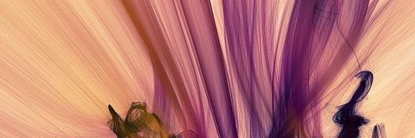 LAltlar's profile banner image