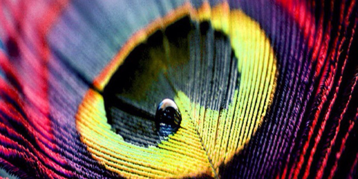 Lynn15Amy's profile banner image