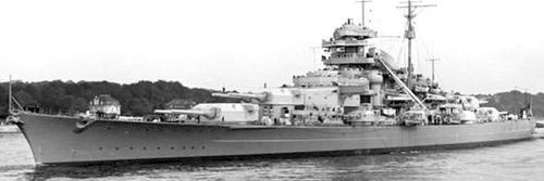 Truckin Texan🇩🇪🏴‍☠️🇺🇲 banner