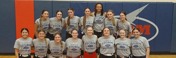 SStormsoftball Profile Banner