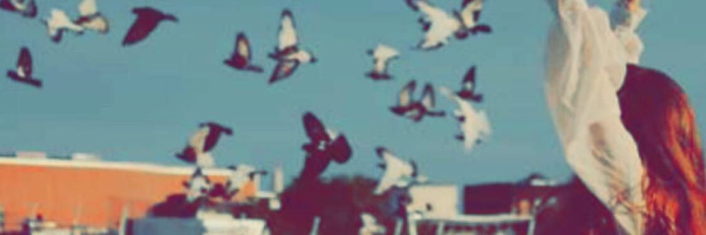 ph_mtay's profile banner image