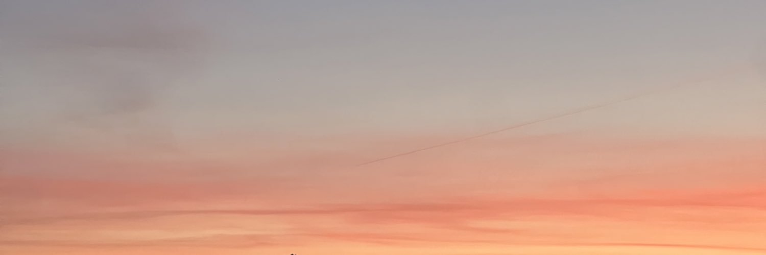 mireialpzz's profile banner image