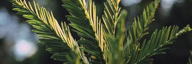 OUR_ORGASM's profile banner image