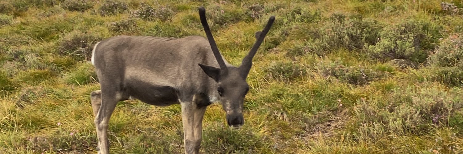 Mr D. Goodman CTeach banner