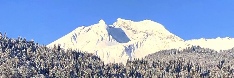 Cargo DesNeiges banner