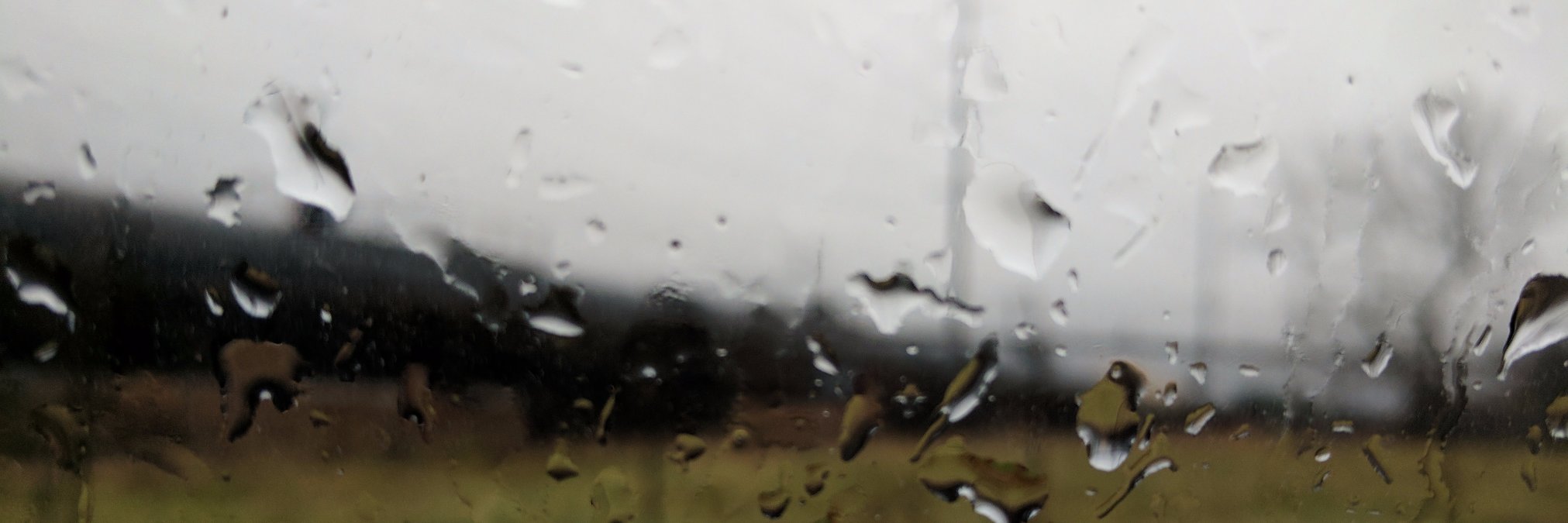 AustinRohm's profile banner image
