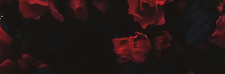 jmnxch's profile banner image