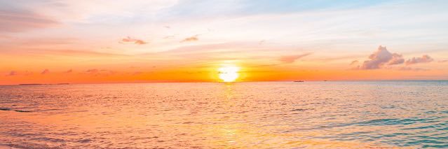 Harriet_Gardner's profile banner image