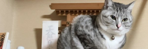 murave Profile Banner