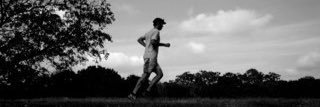 Pedrorodeiro's profile banner image