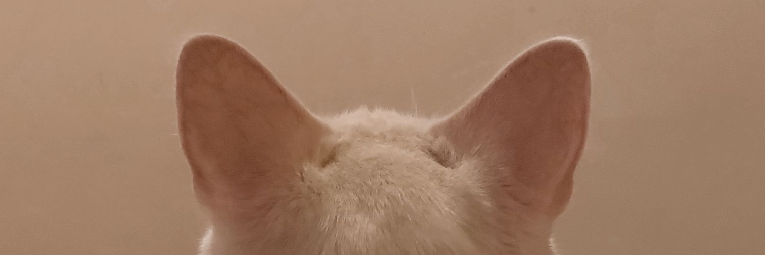 ruedaaah's profile banner image