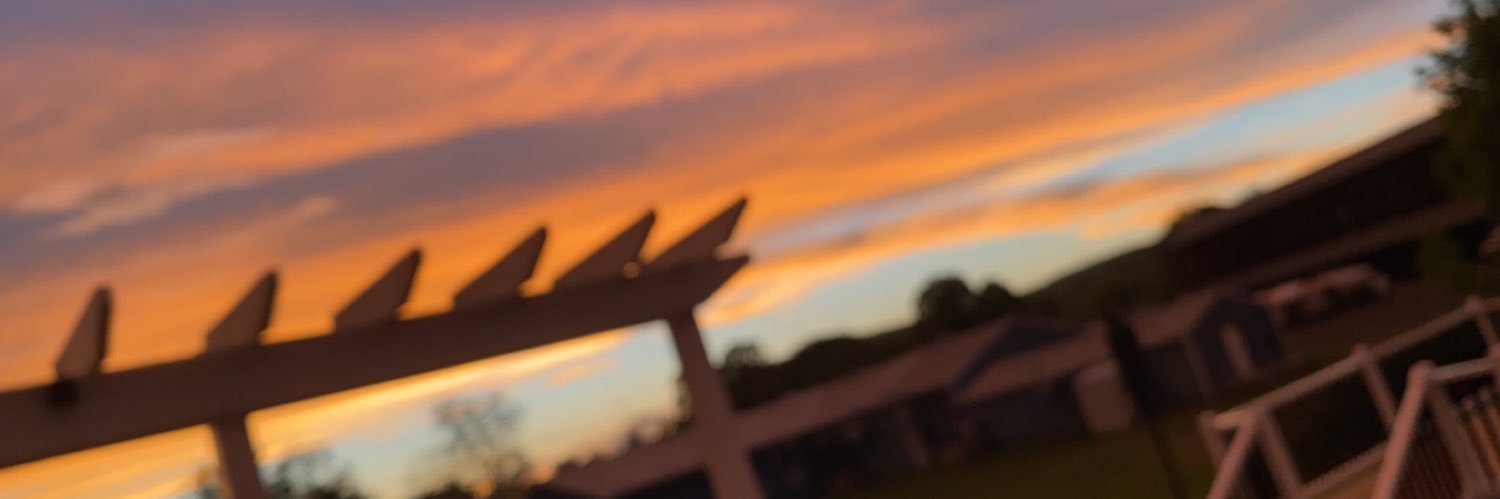 LambertiNicole's profile banner image