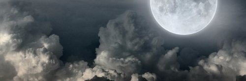 nelmontg's profile banner image