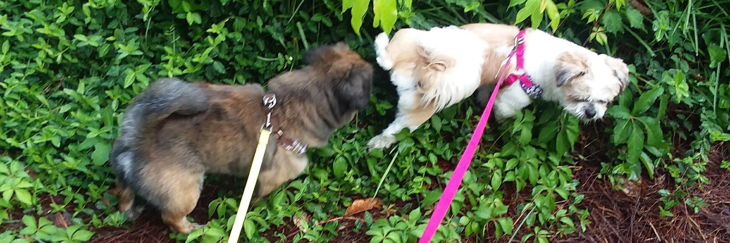 The Elegant Demon banner