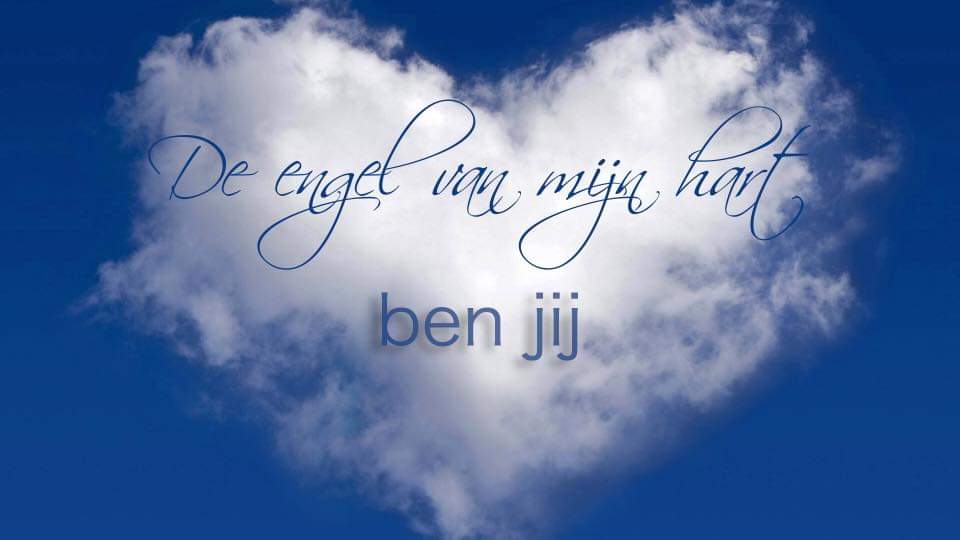 TineReynaert's profile banner image