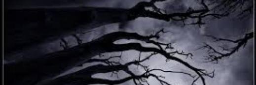 MasterReinis's profile banner image