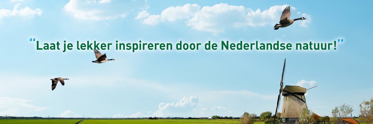 Hollandswild1's profile banner image