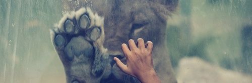 ViCkA27's profile banner image