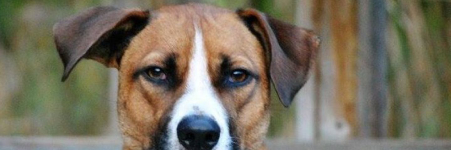 misko_marko's profile banner image