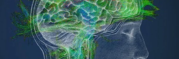 ArginteanuMarc Profile Banner