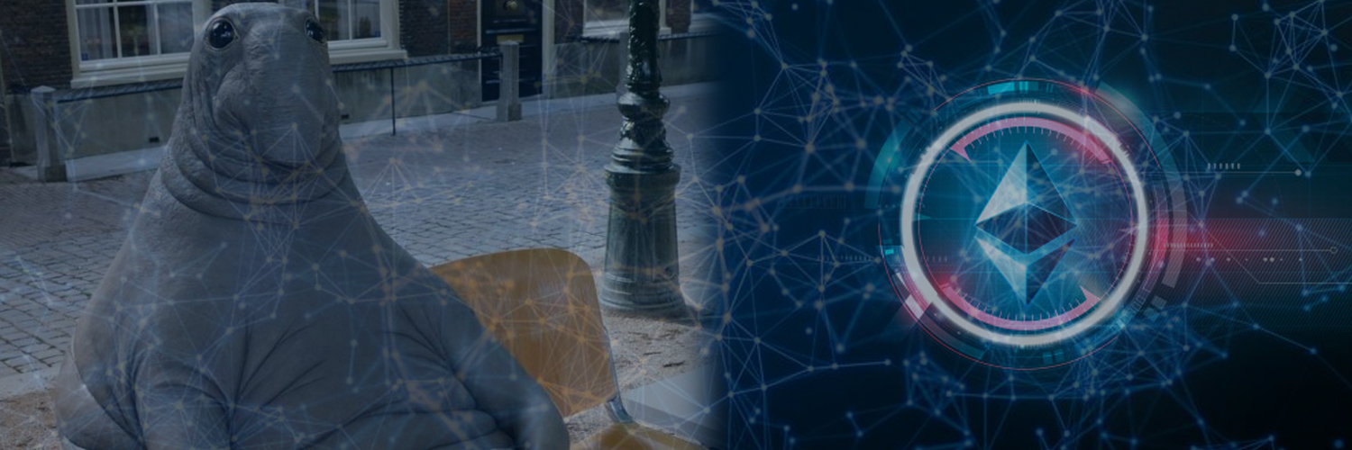 CryptoTRNDSTTR banner