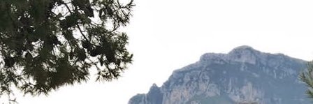 SmilingCaniff_'s profile banner image