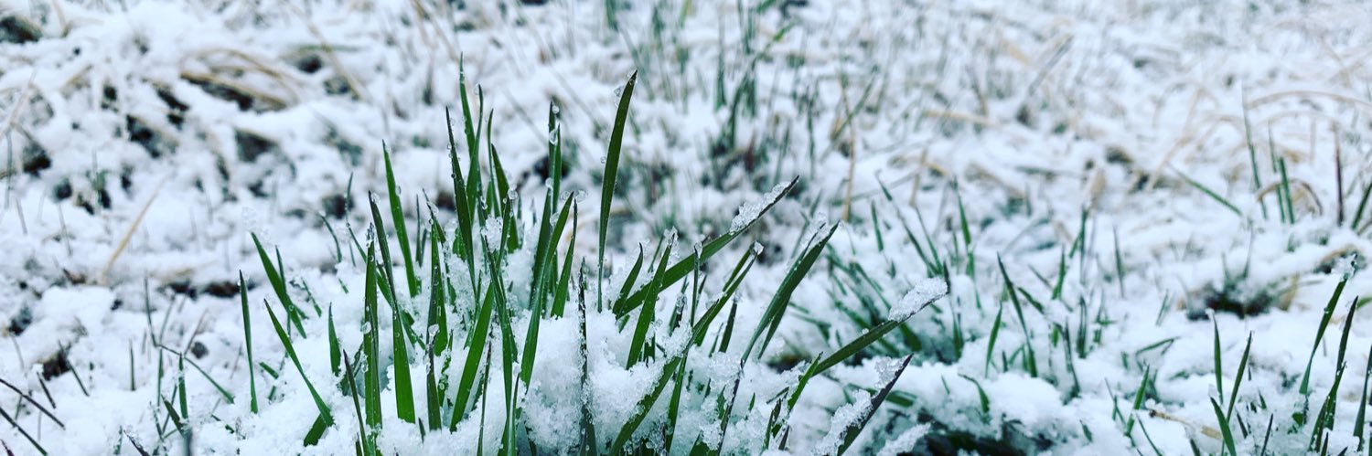 Nopphon Khophadung banner