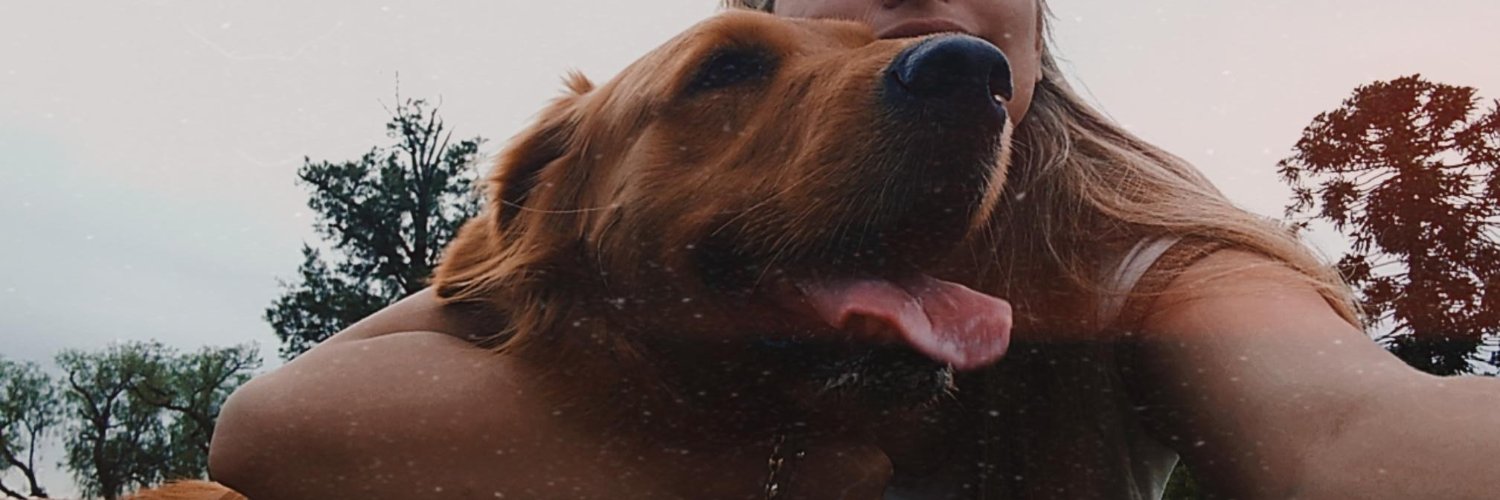 Florrmessina's profile banner image