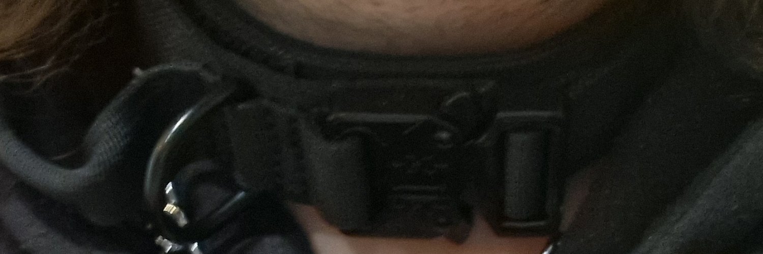 sheldingoLEWD's profile banner image