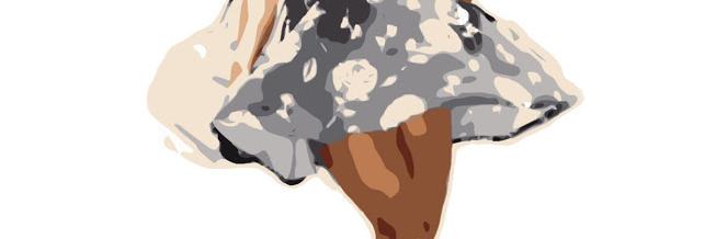 KalaRiggins's profile banner image