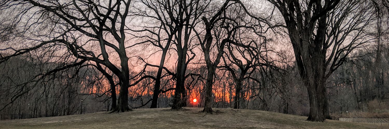 JosephFerguson's profile banner image