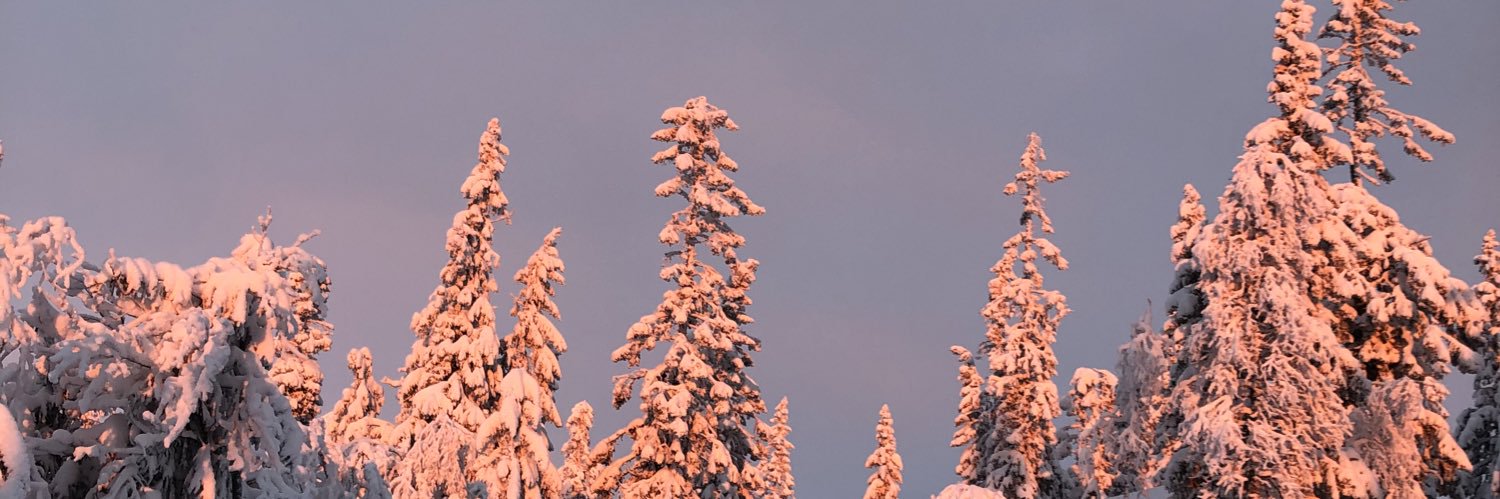 ElinKumlin's profile banner image