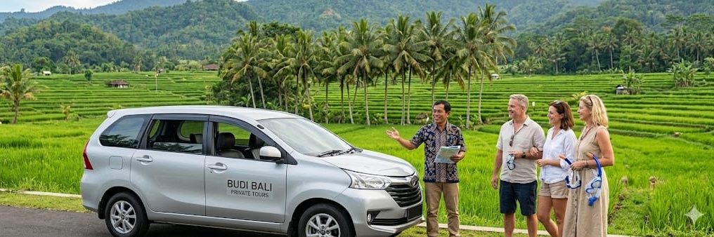 budiarta09's profile banner image