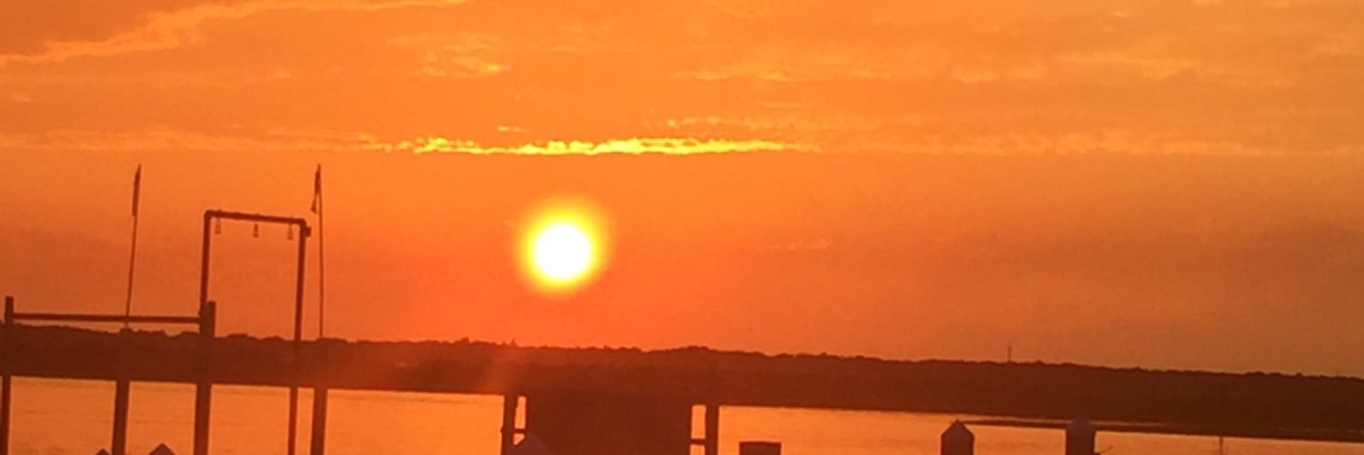 lyonsroar21's profile banner image