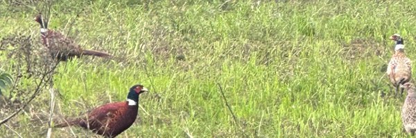 LodgeFarmShop Profile Banner