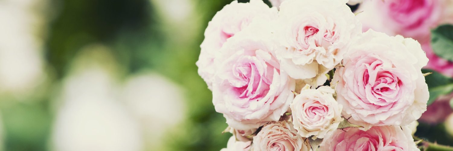 yoni2829's profile banner image