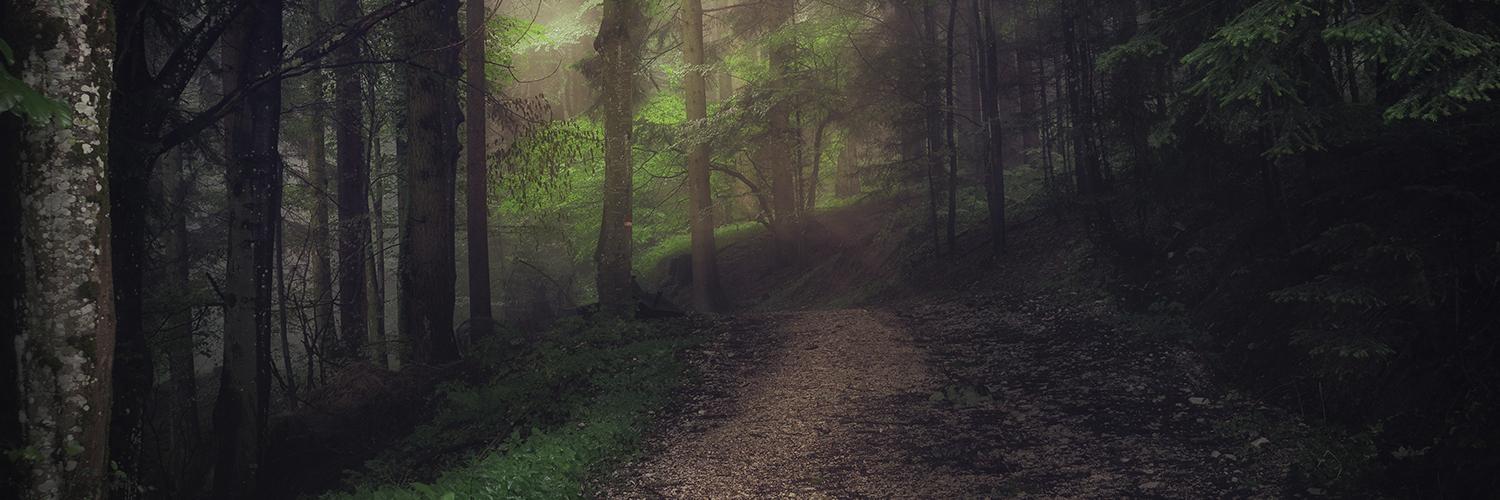 EntGamers's profile banner image