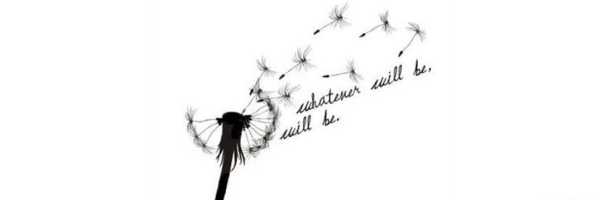HaleyPoehler's profile banner image