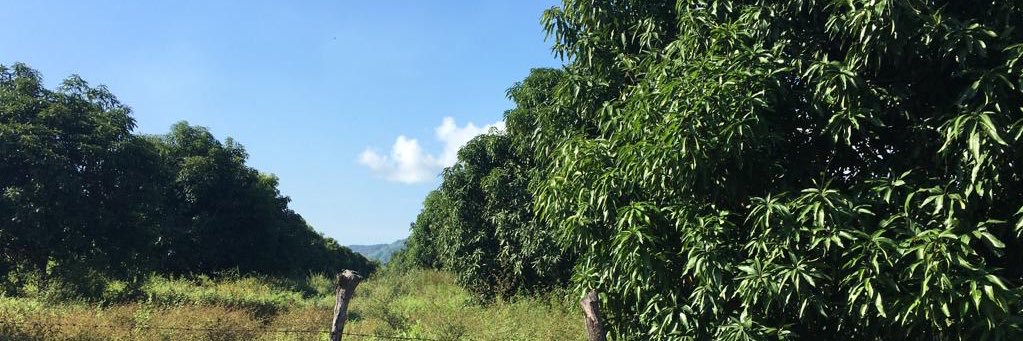 MiBarraza's profile banner image