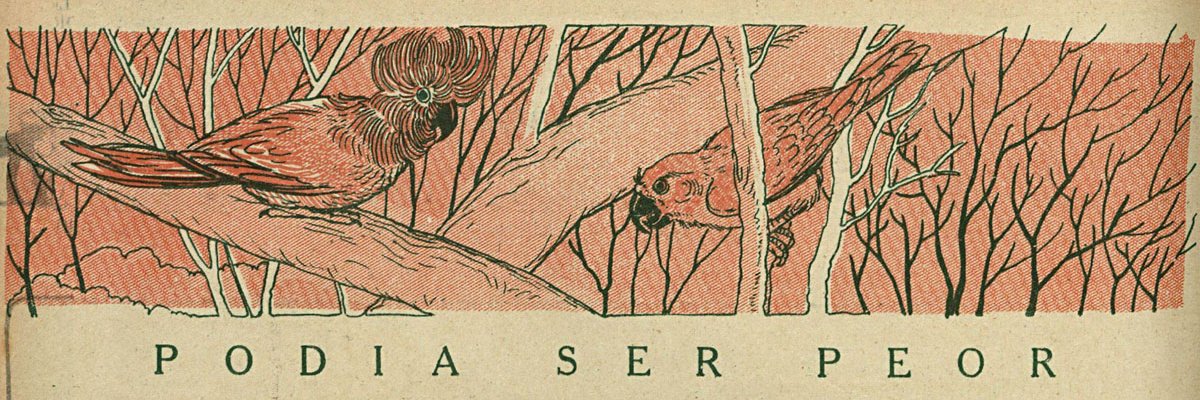 agnès varda fantasiada de batata's banner