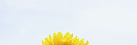 Ilamnugrh's profile banner image