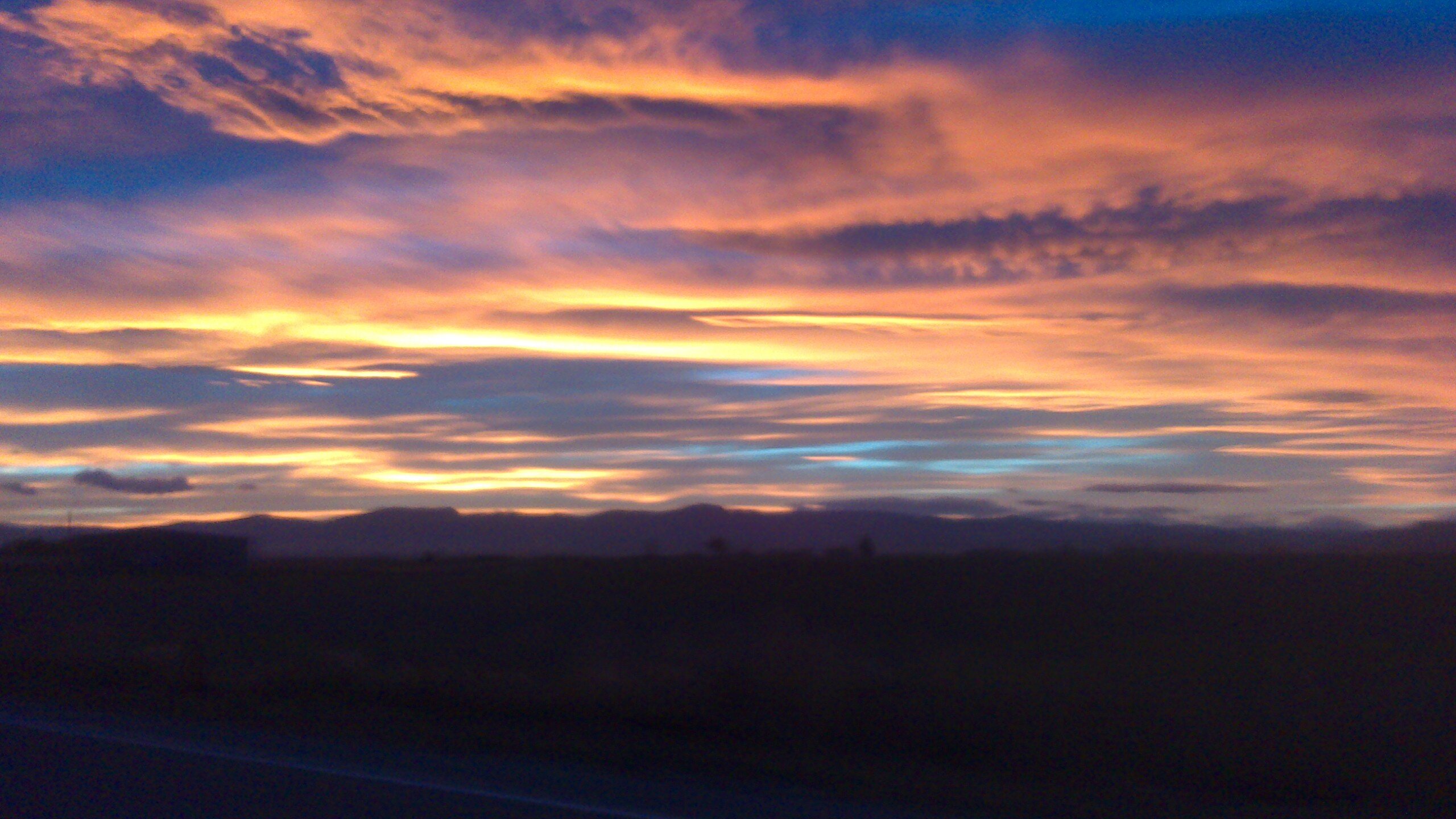 alan harrison banner