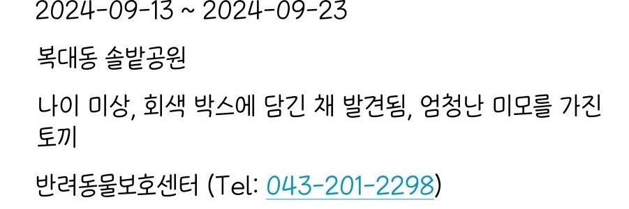 앨빈과 마리는 토끼's banner