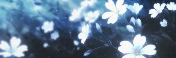 Awkua_ Profile Banner