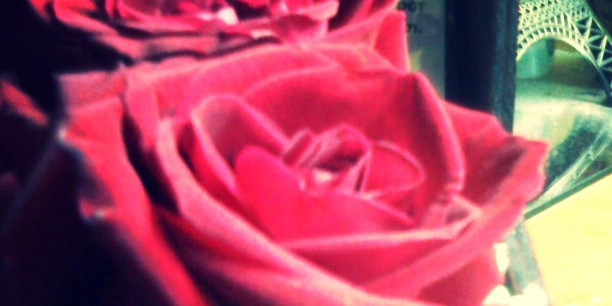 nathi_herebia's profile banner image
