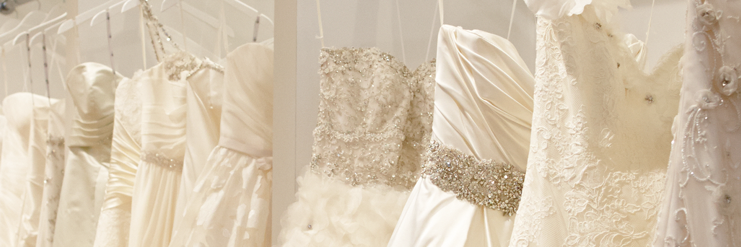 BellaBiancaIL's profile banner image