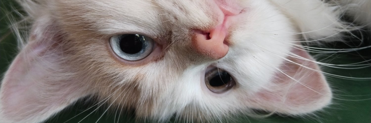 missbarbaraaaa's profile banner image