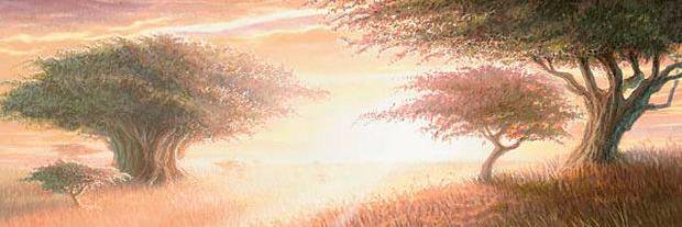 azami_mox's profile banner image