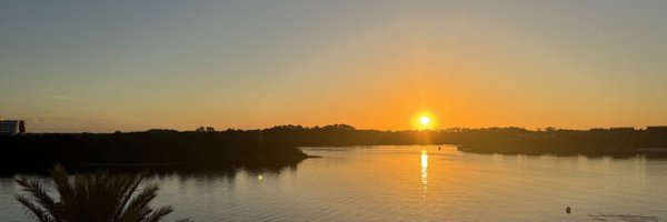 lepomang Profile Banner